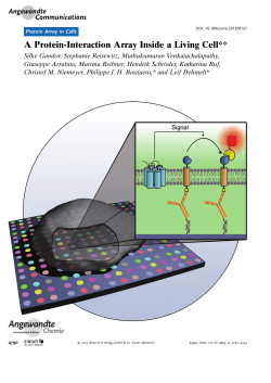 A ProteinInteraction Array Inside a Living Cell