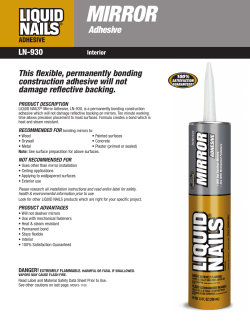 mirror - Liquid Nails