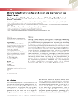 s Collective Forest Tenure Reform and the Future of the Giant Panda