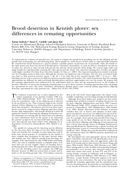 Brood desertion in Kentish plover: sex differences in remating