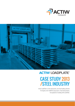 case study 2013 /steel industry