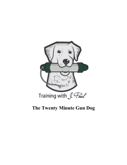 The Twenty Minute Gun Dog