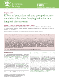 Effects of predation risk and group dynamics on