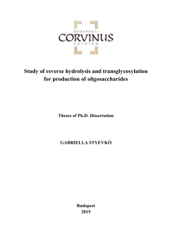 Study of reverse hydrolysis and transglycosylation for production of
