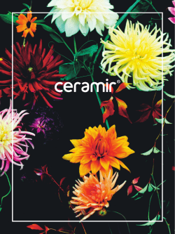 Ceramir Monograph M00031