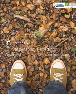 GRI Sustainability Reporting - Global Reporting Initiative