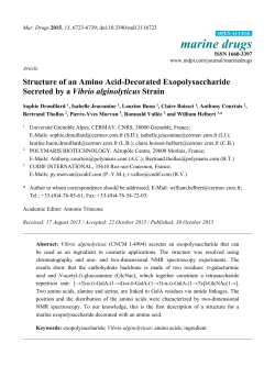 Structure of an Amino Acid-Decorated Exopolysaccharide Secreted