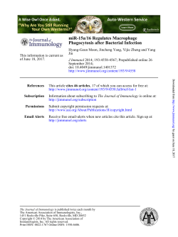 Phagocytosis after Bacterial Infection miR