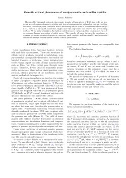 Osmotic critical phenomena of semipermeable unilamellar