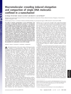 Macromolecular crowding induced elongation and compaction of