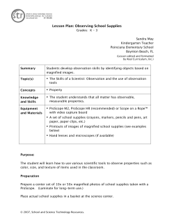 Lesson Plan: Observing School Supplies