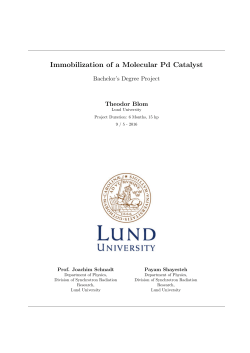 Immobilization of a Molecular Pd Catalyst