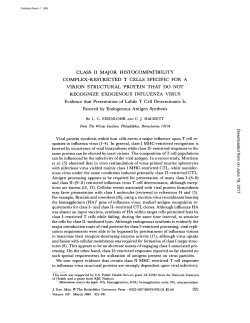class ii major histocompatibility complex-restricted t cells