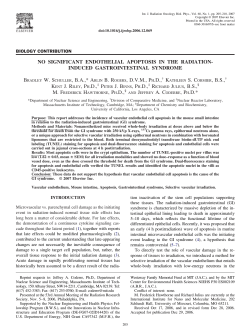 NO SIGNIFICANT ENDOTHELIAL APOPTOSIS IN THE RADIATION
