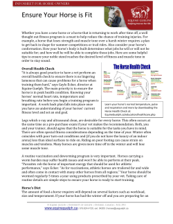 Ensure Your Horse is Fit