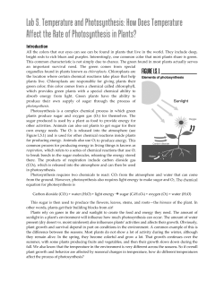 Lab 5. Temperature and Photosynthesis: How Does Temperature