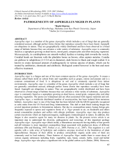 pathogenecity of aspergillus niger in plants