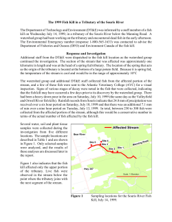 1999 Fish Kill in a Tributary of the Souris River