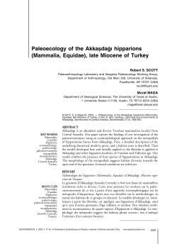 Paleoecology of the Akka şdag˘ ı hipparions (Mammalia, Equidae