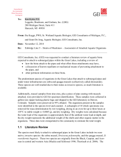 such as the study on mussels