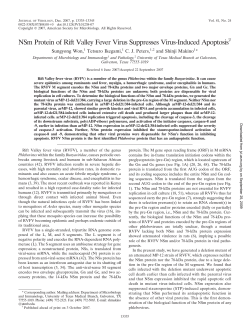 NSm Protein of Rift Valley Fever Virus Suppresses
