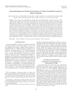 Neuropathological and Ultrastructural Features of