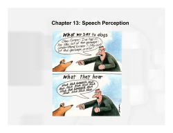 Chapter 13: Speech Perception (and Synesthesia)