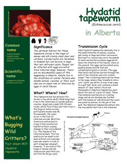 Hydatid Tapeworm in Alberta - Alberta Environment and Parks
