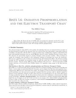 Bis2A 5.6: Oxidative Phosphorylation and the Electron Transport