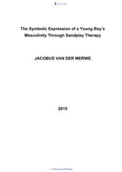 The Symbolic Expression of a Young Boy`s Masculinity Through