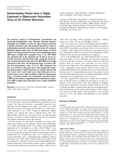 Retinol-binding Protein Gene is Highly
