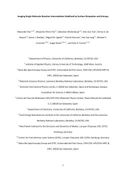 Preprint - Nano-Bio Spectroscopy Group
