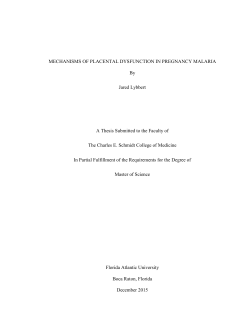 Mechanisms of Placental Dysfunction in Pregnancy Malaria