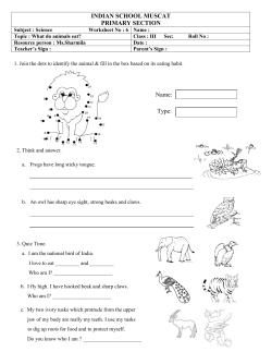 Class III Science What do animals eat worksheet 6
