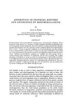 ADSORPTION OF PROTEINS, ENZYMES AND ANTIBIOTICS BY