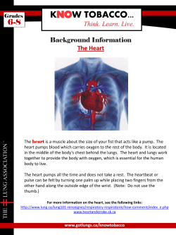 Background Information The Heart