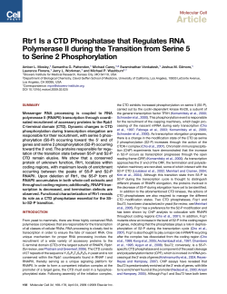 Rtr1 Is a CTD Phosphatase that Regulates RNA