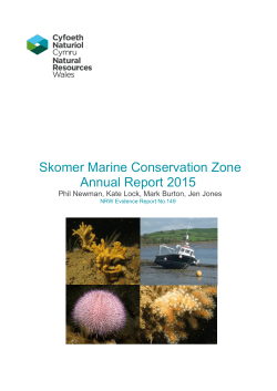 Skomer Marine Conservation Zone Annual Report 2015