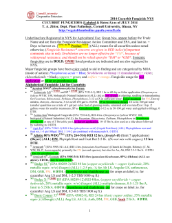 Cucurbit Fungicides - Vegetable MD Online