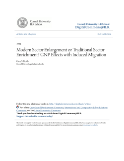 Modern Sector Enlargement or Traditional Sector Enrichment? GNP