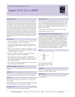Septin 10 (F-14): sc-49505