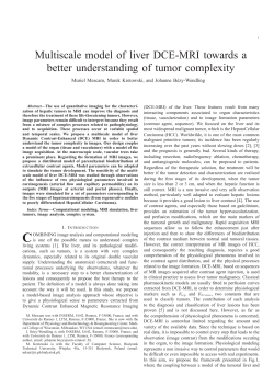 Multiscale model of liver DCE-MRI towards a better