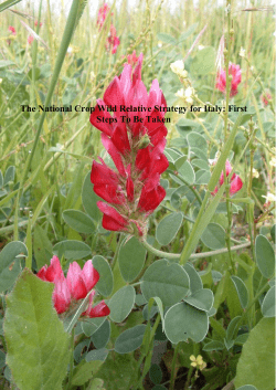 The National Crop Wild Relative Strategy for Italy: First Steps To Be