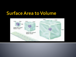 Surface Area