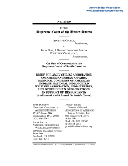 Brief for Association on American Indian Affairs, National Congress