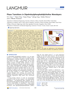 Phase Transitions in Dipalmitoylphosphatidylcholine Monolayers