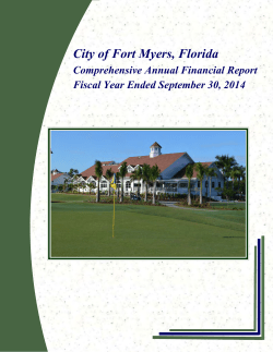 comprehensive annual financial report