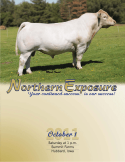 Show Heifer Prospects