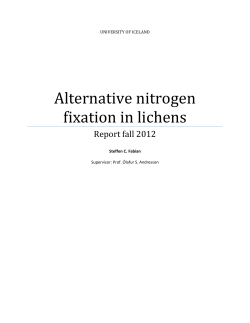 Alternative nitrogen fixation in lichens