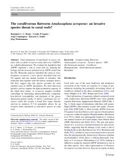 The corallivorous flatworm Amakusaplana acroporae